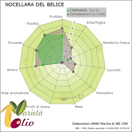Profilo sensoriale medio della cultivar  CAMPANIA 