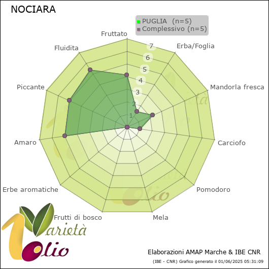Profilo sensoriale medio della cultivar  PUGLIA 