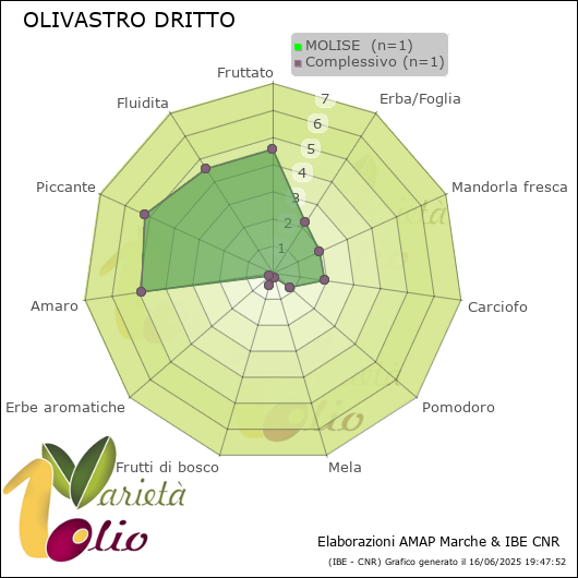 Profilo sensoriale medio della cultivar  MOLISE 
