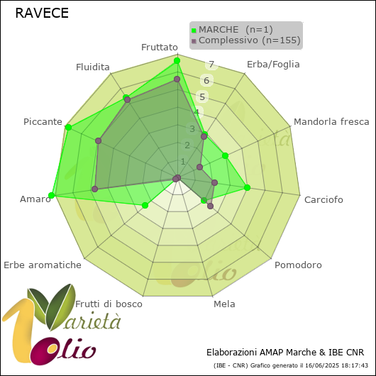 Profilo sensoriale medio della cultivar  MARCHE 