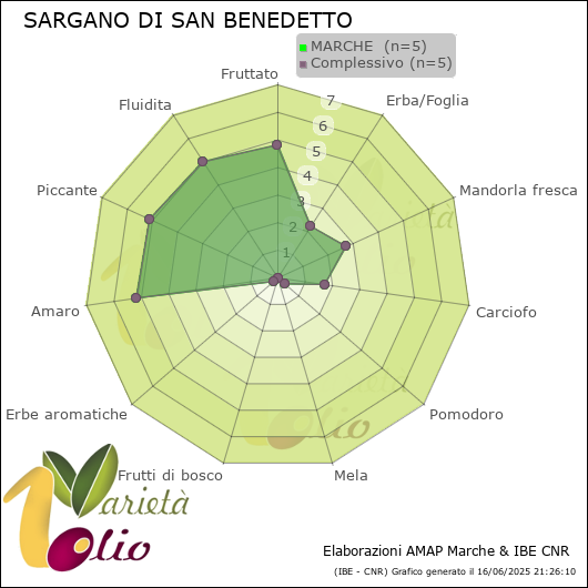 Profilo sensoriale medio della cultivar  MARCHE 