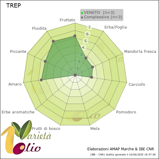 Profilo sensoriale medio della cultivar  VENETO 