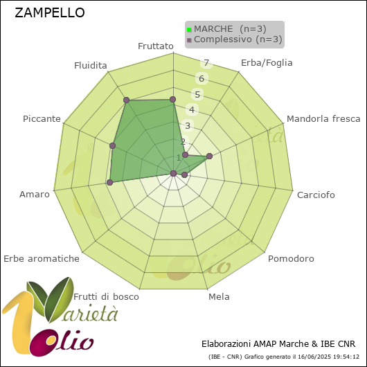 Profilo sensoriale medio della cultivar  MARCHE 