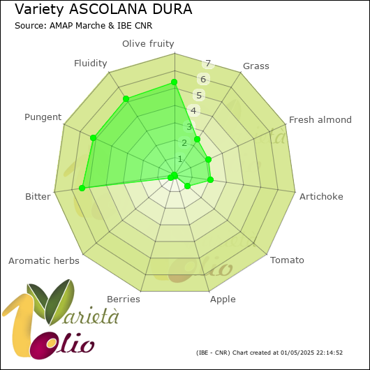 Sensory profile of 