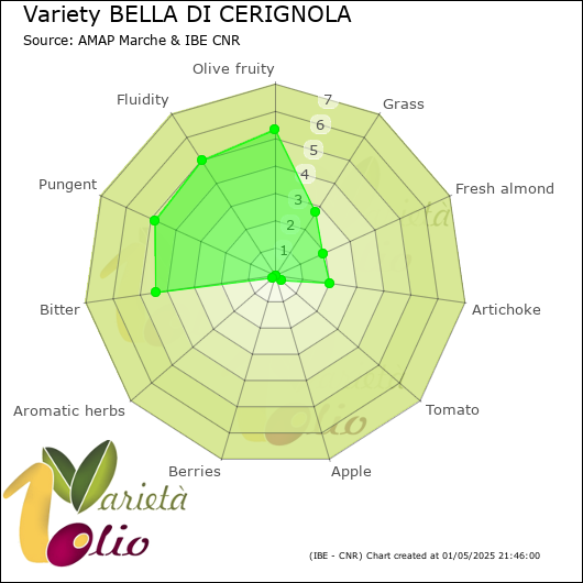 Sensory profile of 