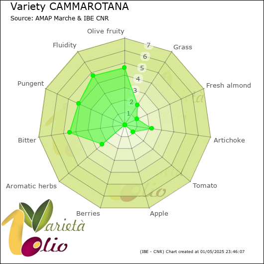 Sensory profile of 