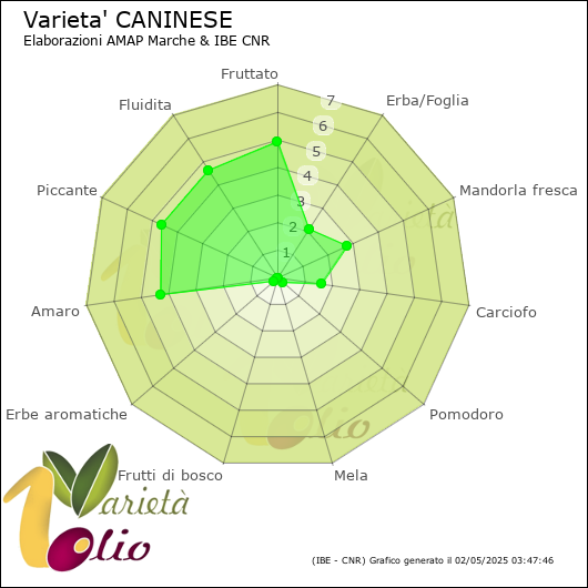 Profilo sensoriale medio della cultivar 