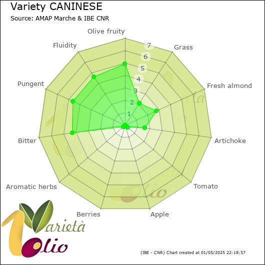 Sensory profile of 