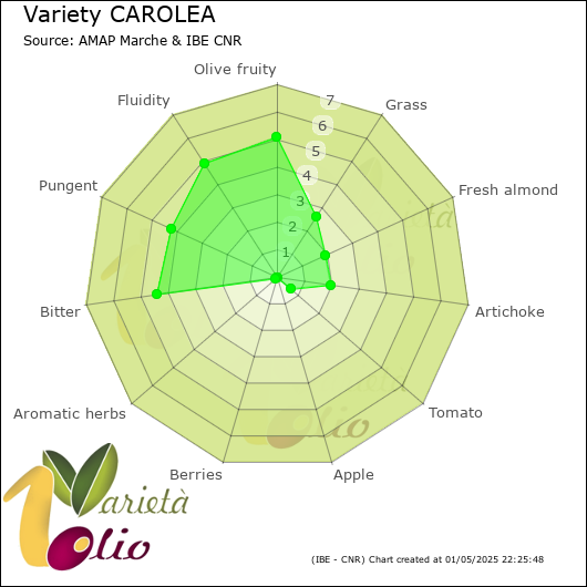 Sensory profile of 