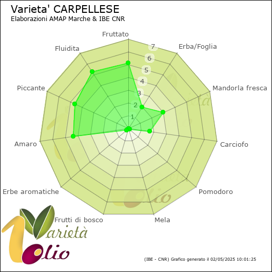 Profilo sensoriale medio della cultivar 