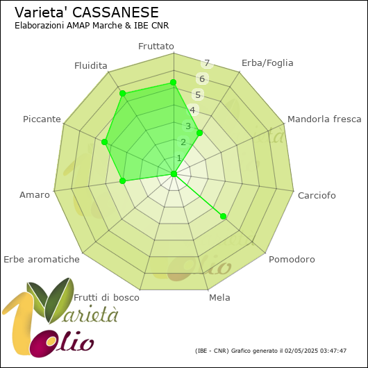 Profilo sensoriale medio della cultivar 