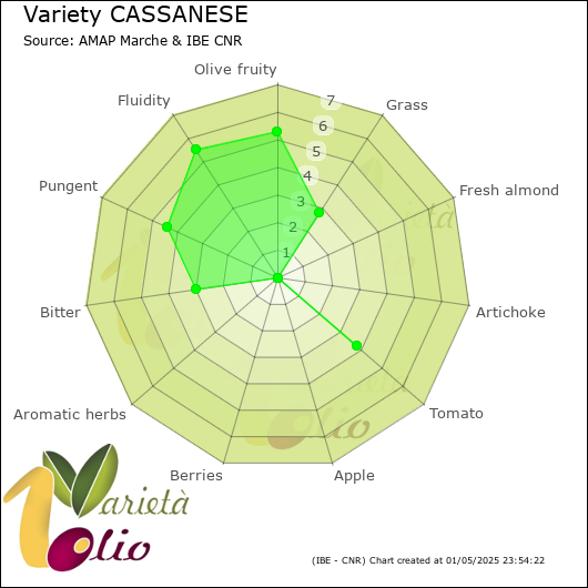 Sensory profile of 