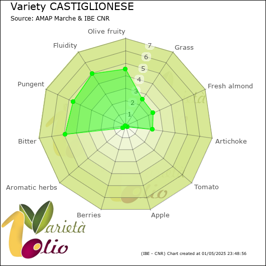 Sensory profile of 