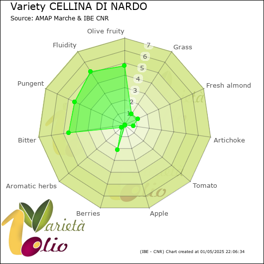 Sensory profile of 