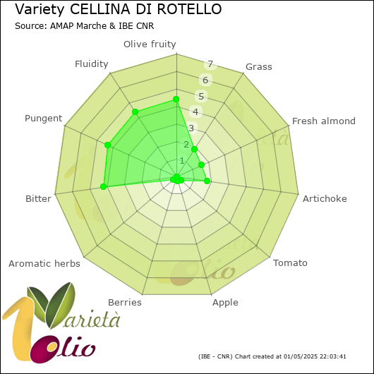 Sensory profile of 