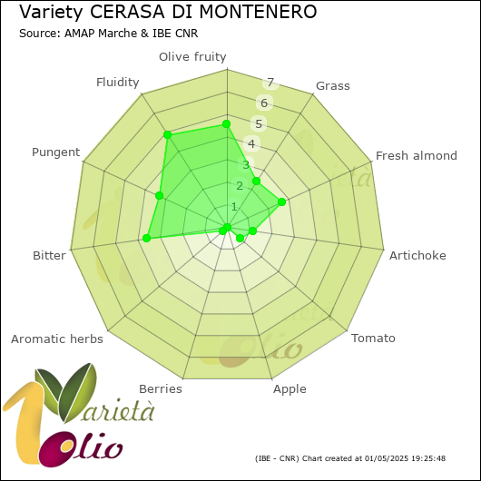 Sensory profile of 