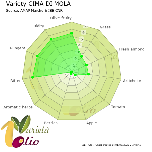 Sensory profile of 