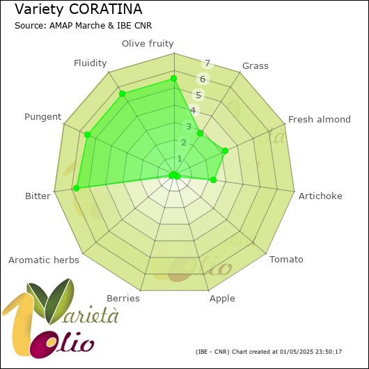 Sensory profile of 