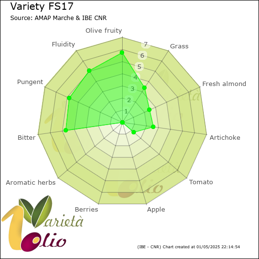 Sensory profile of 