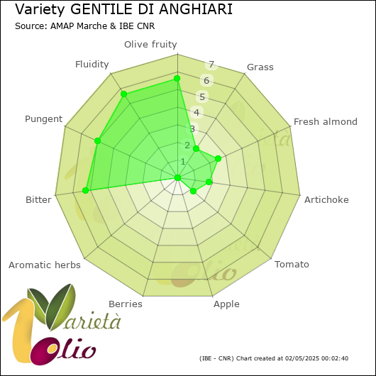 Sensory profile of 