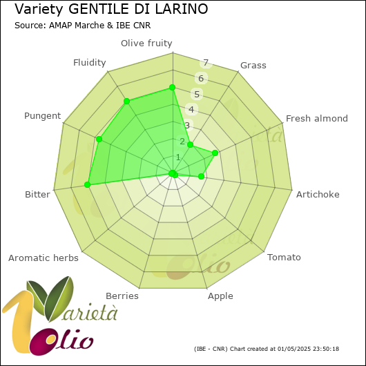 Sensory profile of 