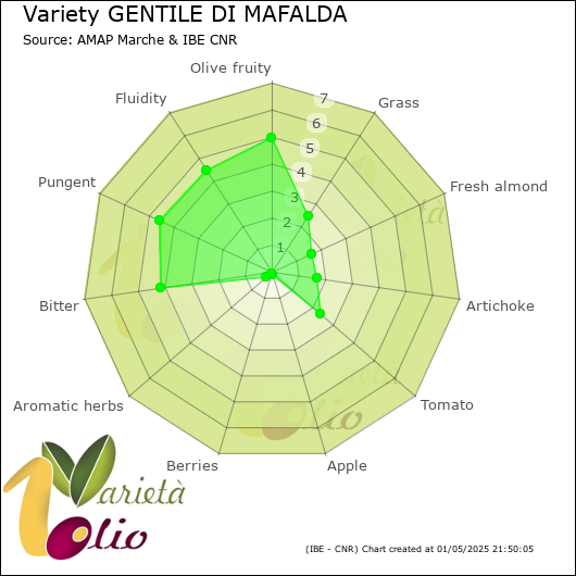 Sensory profile of 