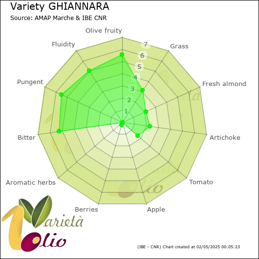 Sensory profile of 