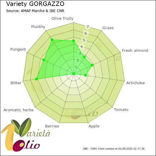 Sensory profile of 