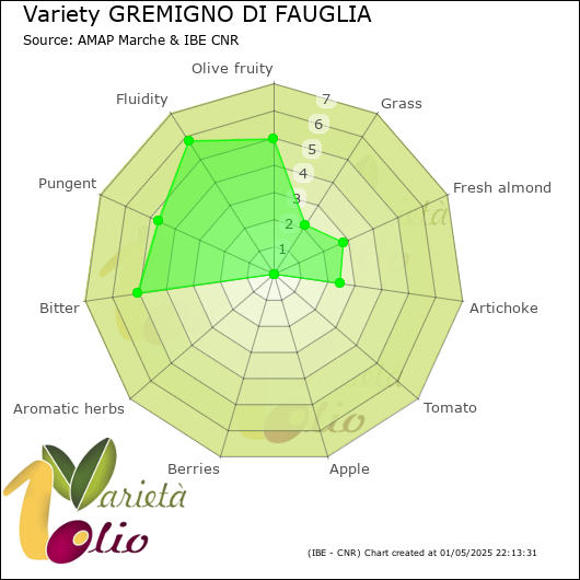 Sensory profile of 