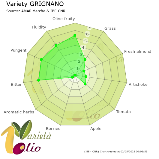 Sensory profile of 