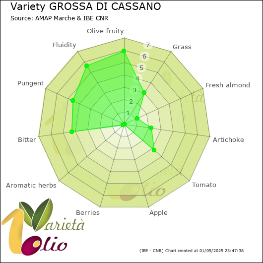 Sensory profile of 
