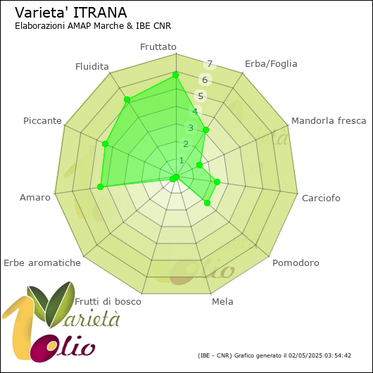 Profilo sensoriale medio della cultivar 