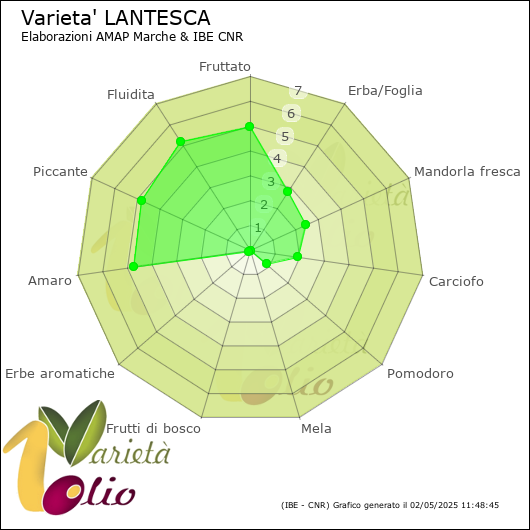 Profilo sensoriale medio della cultivar 