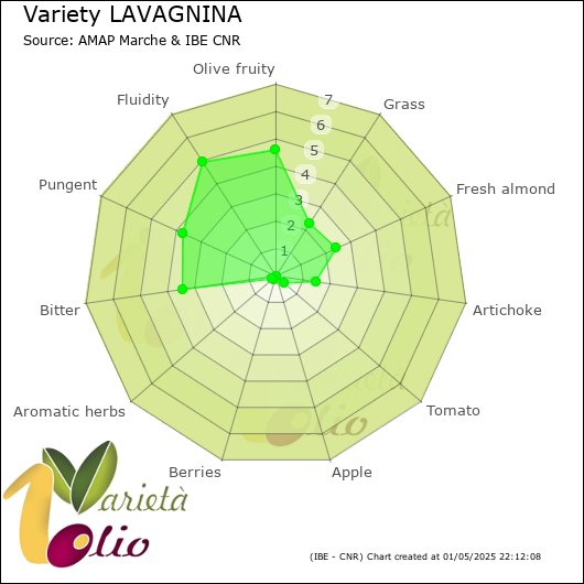 Sensory profile of 