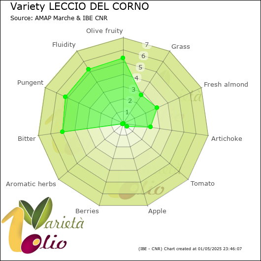 Sensory profile of 