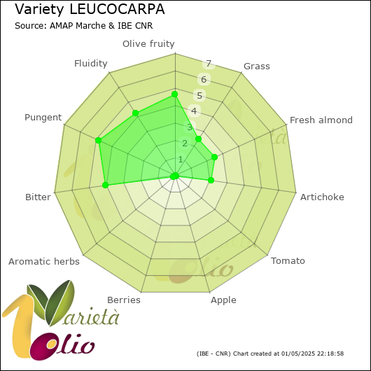 Sensory profile of 