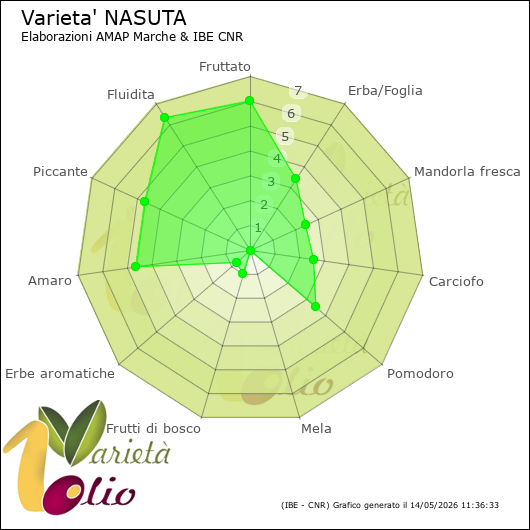 Profilo sensoriale medio della cultivar 