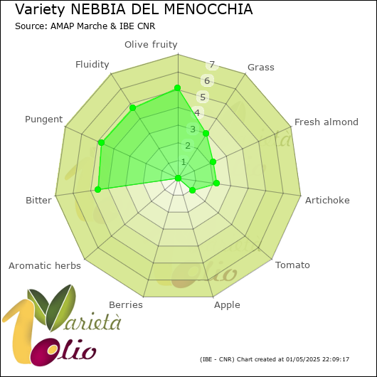 Sensory profile of 