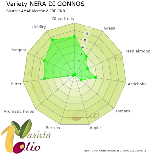 Sensory profile of 