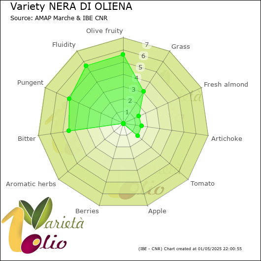 Sensory profile of 