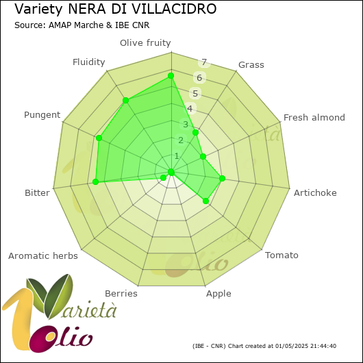 Sensory profile of 