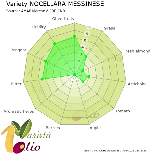 Sensory profile of 
