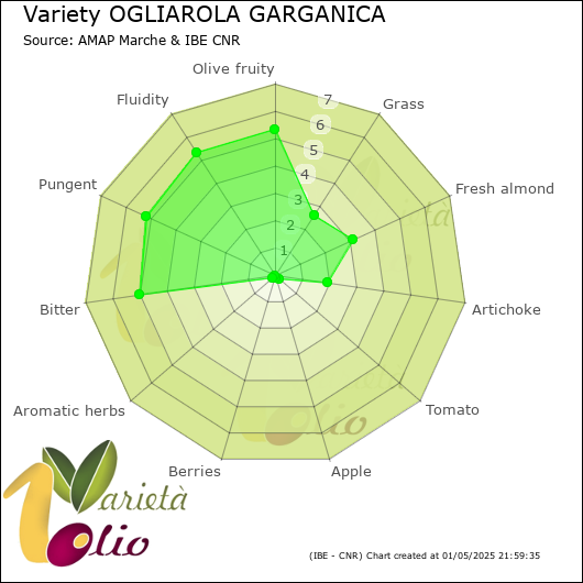 Sensory profile of 