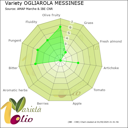 Sensory profile of 