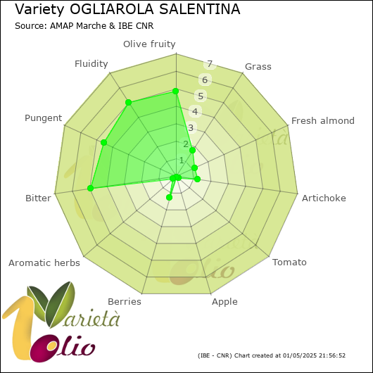 Sensory profile of 