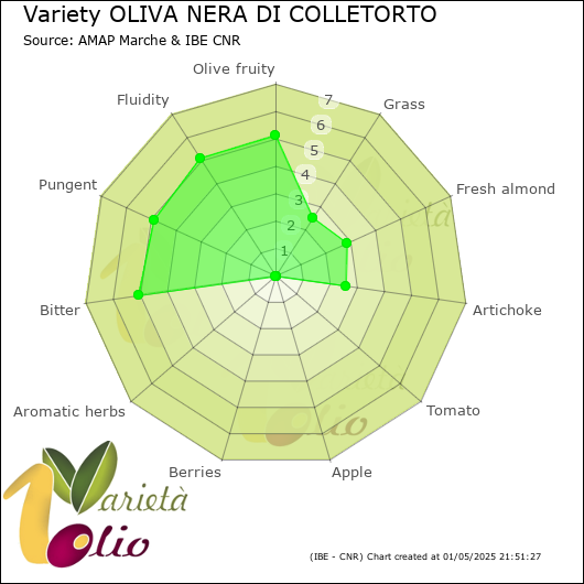 Sensory profile of 