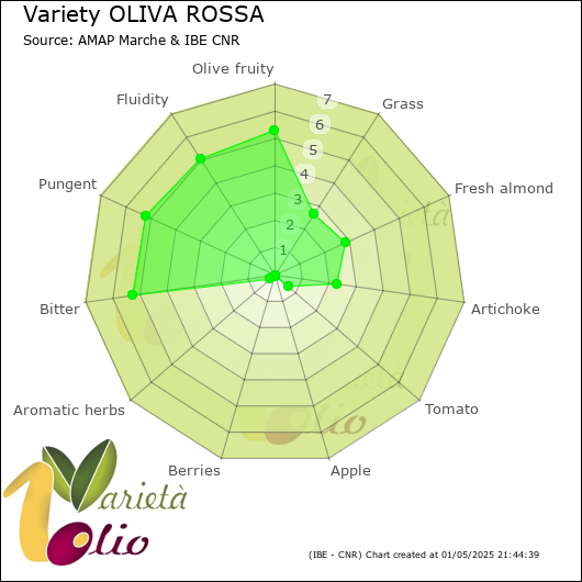 Sensory profile of 