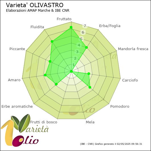 Profilo sensoriale medio della cultivar 