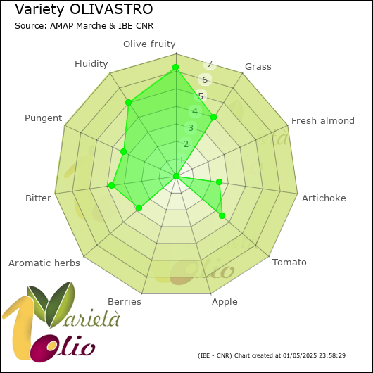 Sensory profile of 