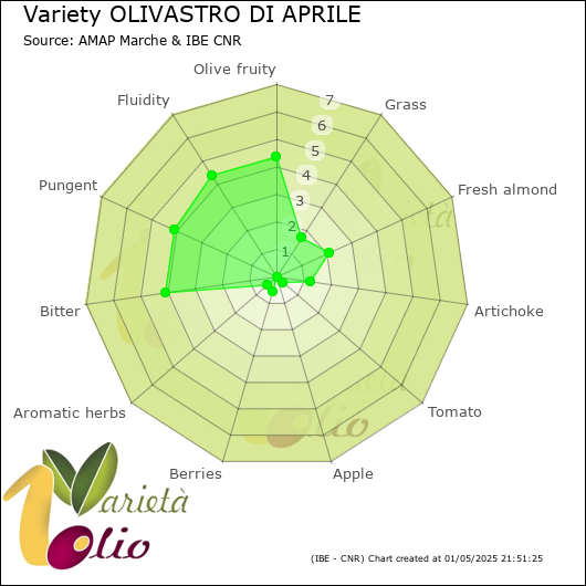 Sensory profile of 